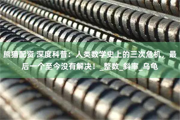 熊猫配资 深度科普：人类数学史上的三次危机，最后一个至今没有解决！_整数_斜率_乌龟