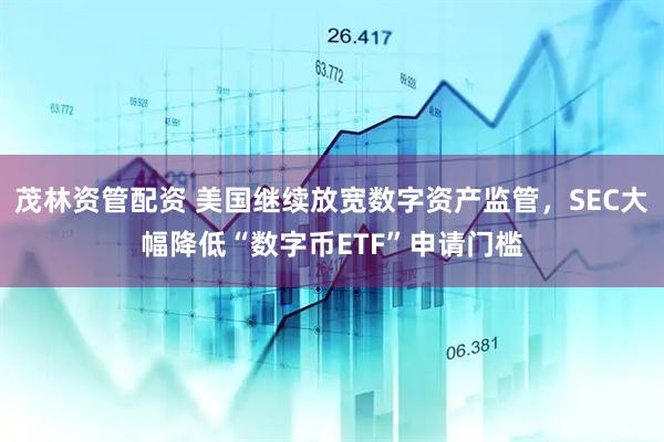 茂林资管配资 美国继续放宽数字资产监管，SEC大幅降低“数字币ETF”申请门槛