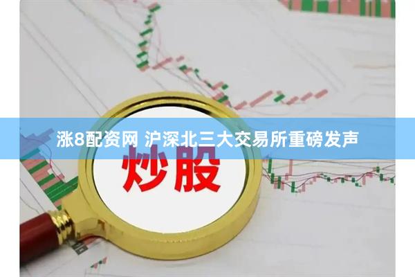 涨8配资网 沪深北三大交易所重磅发声